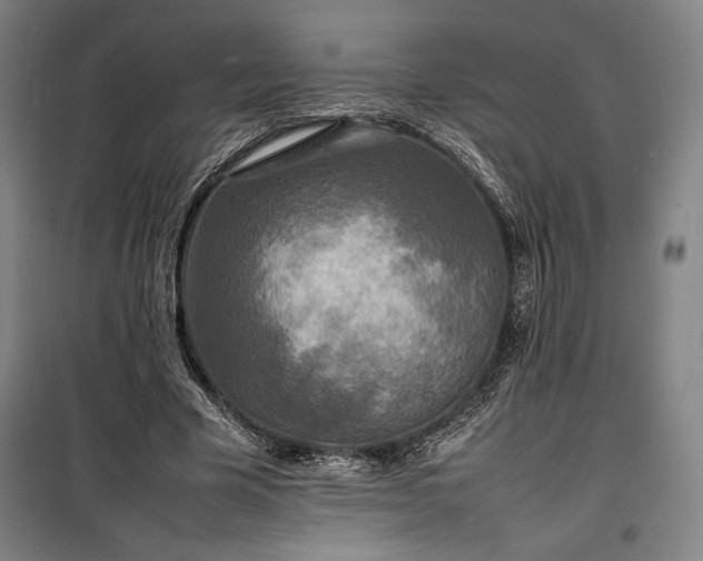 X0000100310585200806121042