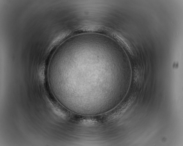 X0000100310586200806121042
