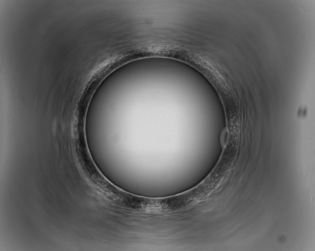 X0000100310587200806121042