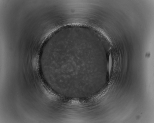 X0000100310588200806121042