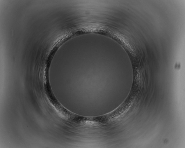 X0000100310590200806121042