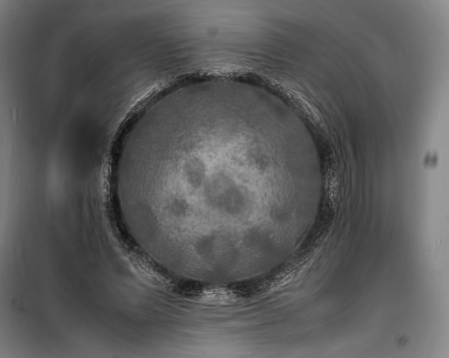 X0000100310591200806121042