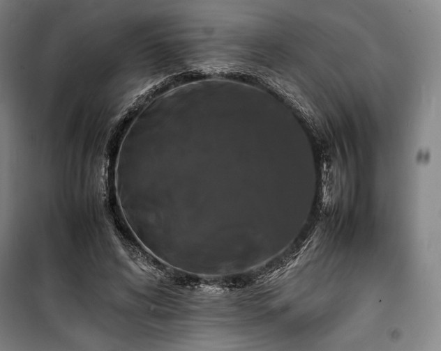 X0000100310592200806121042
