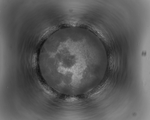X0000100310594200806121042