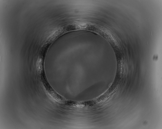 X0000100310598200806121042