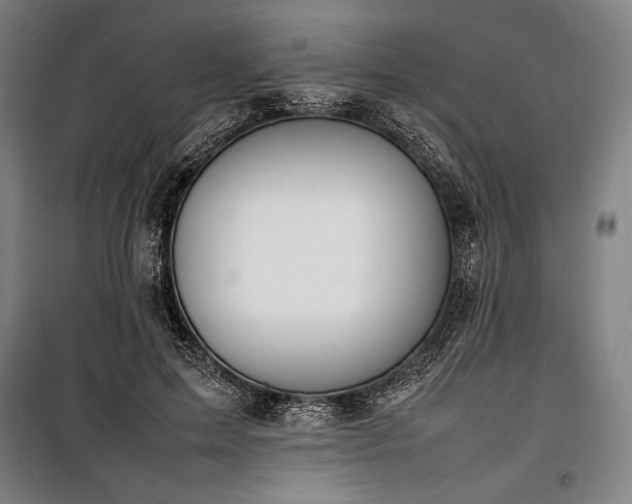 X0000100310599200806121042
