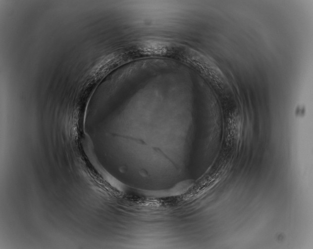 X0000100310600200806121042