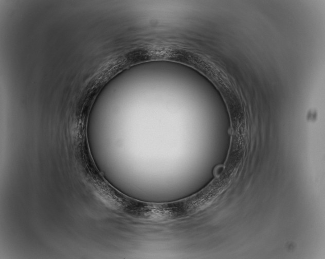 X0000100310601200806121042