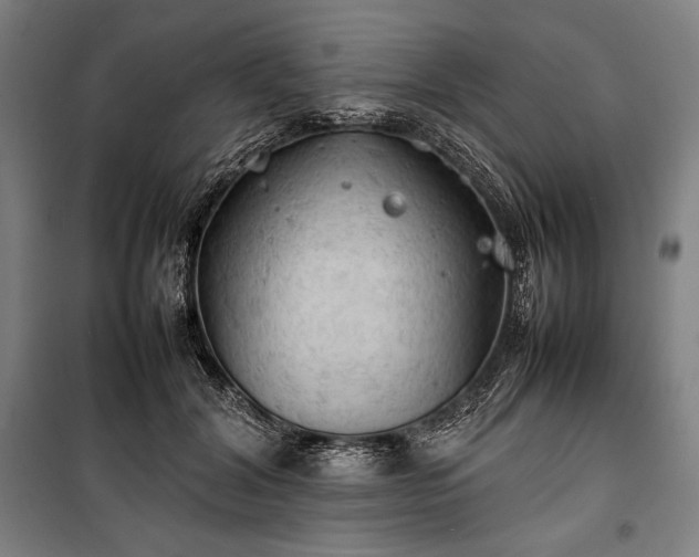 X0000100310604200806121042