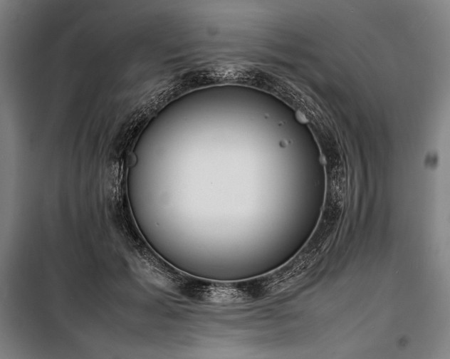 X0000100310605200806121042