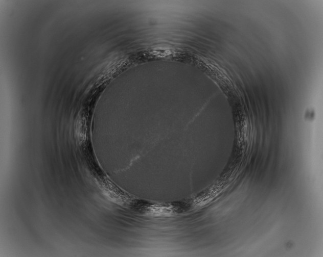 X0000100310606200806121042