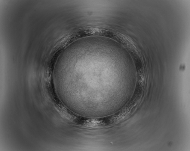 X0000100310607200806121042