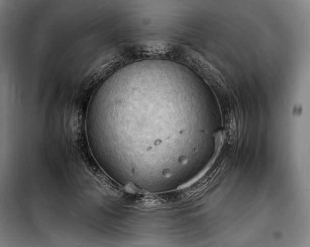 X0000100310608200806121042