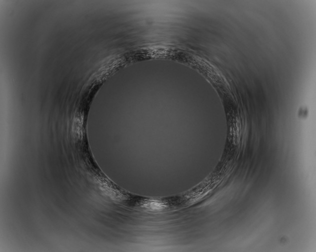 X0000100310610200806121042