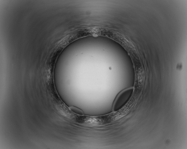 X0000100310611200806121042