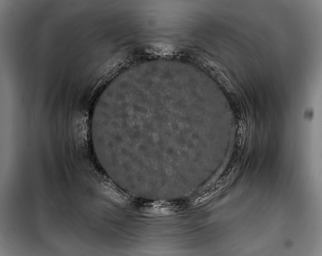 X0000100310612200806121042
