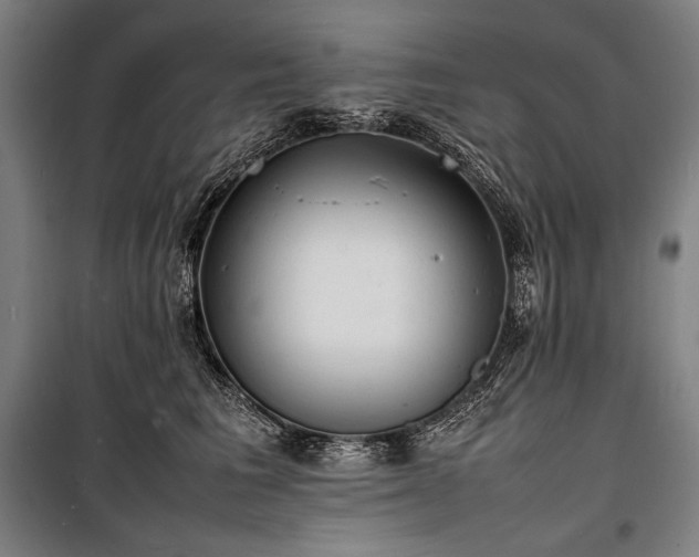 X0000100310613200806121042