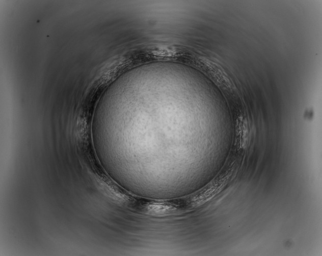 X0000100310614200806121042