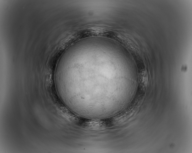 X0000100310615200806121042