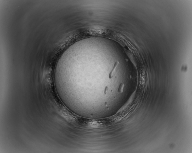 X0000100310616200806121042