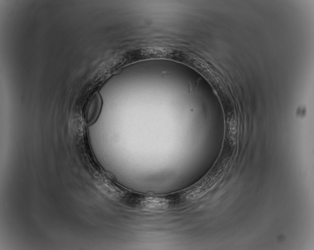 X0000100310617200806121042