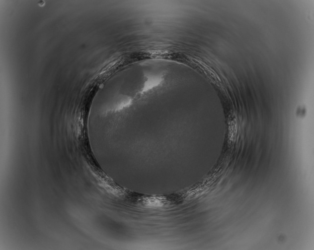 X0000100310618200806121042