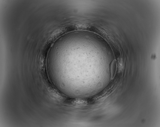 X0000100310619200806121042