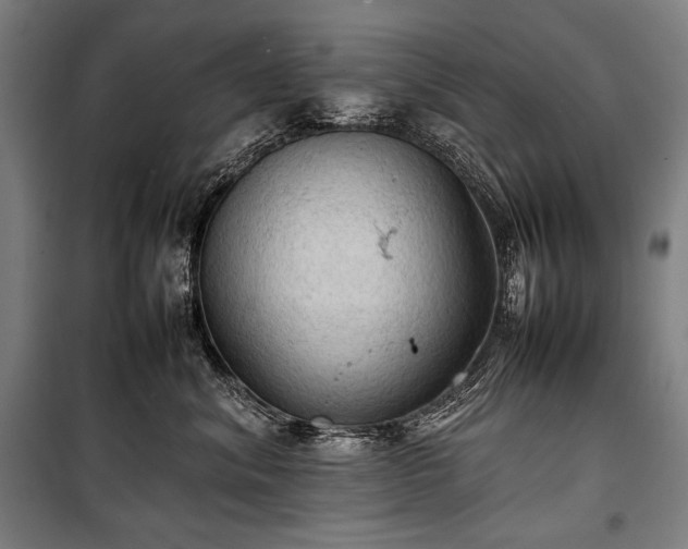 X0000100310620200806121042