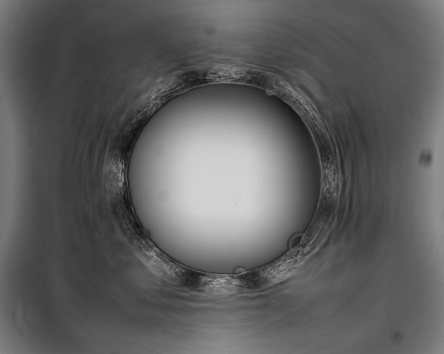 X0000100310621200806121042