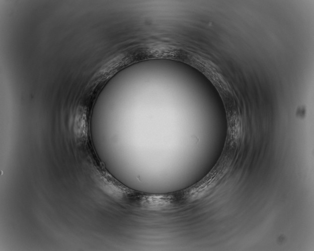 X0000100310622200806121042