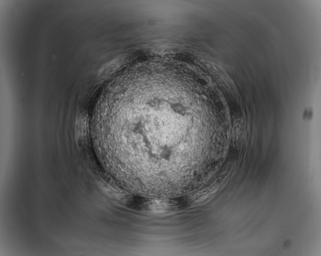 X0000100310623200806121042