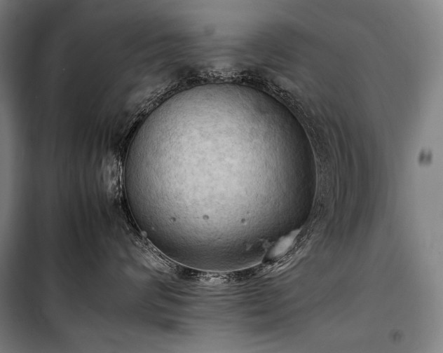 X0000100310624200806121042