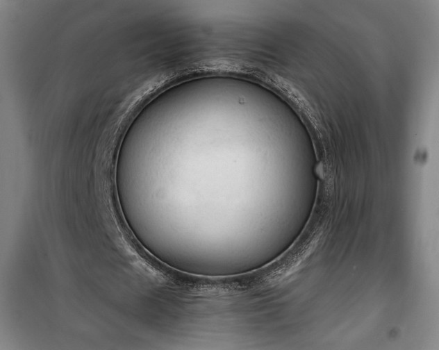 X0000100310625200806121041