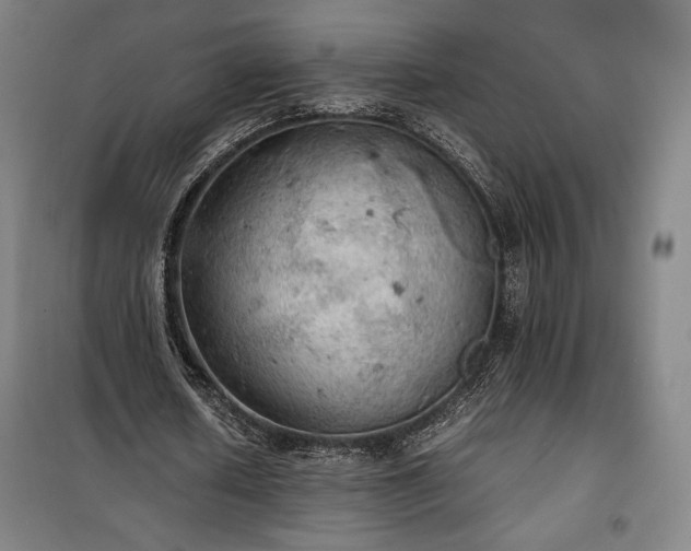 X0000100310626200806121041