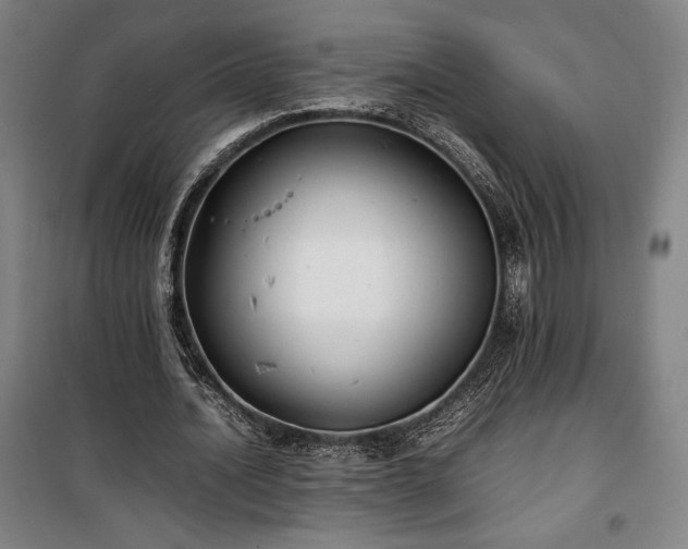 X0000100310628200806121041