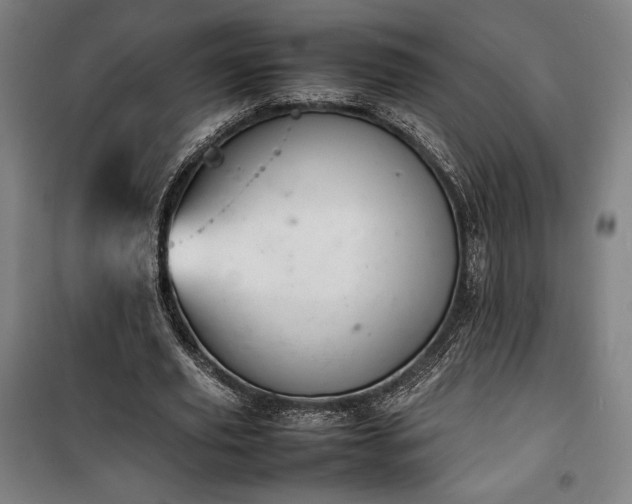 X0000100310629200806121041