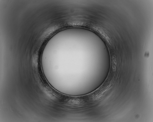 X0000100310631200806121041