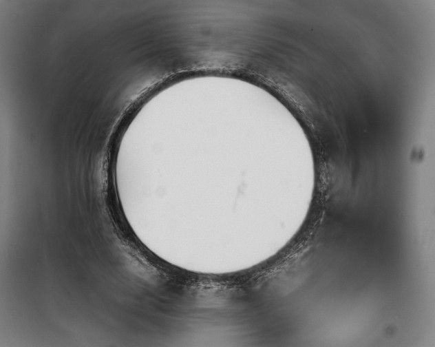 X0000100310632200806121041