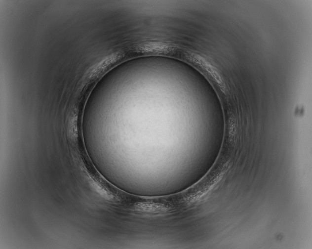 X0000100310633200806121041