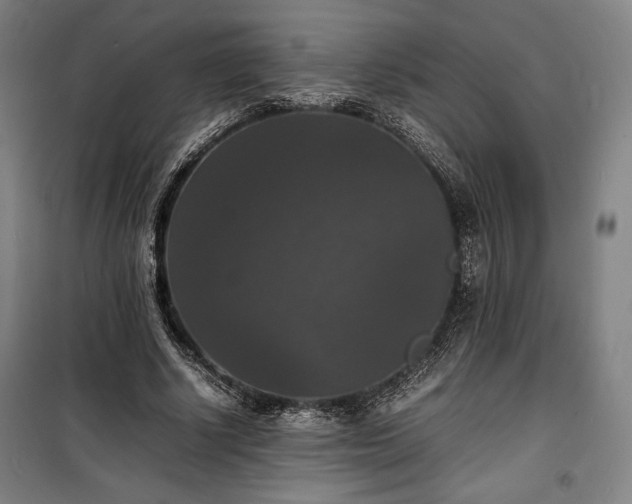 X0000100310634200806121041