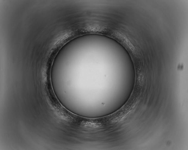 X0000100310635200806121041
