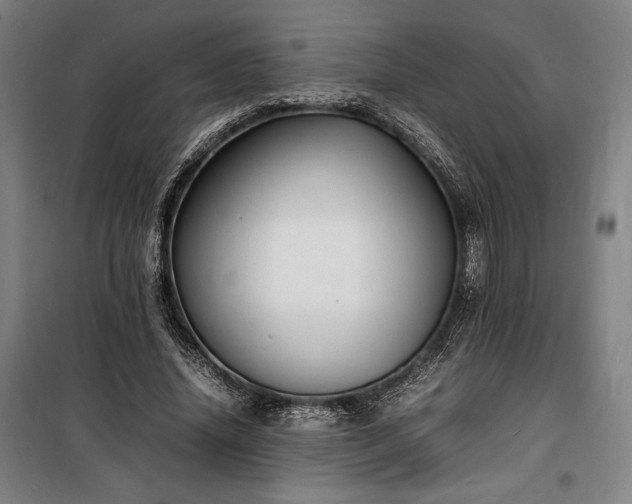 X0000100310636200806121041