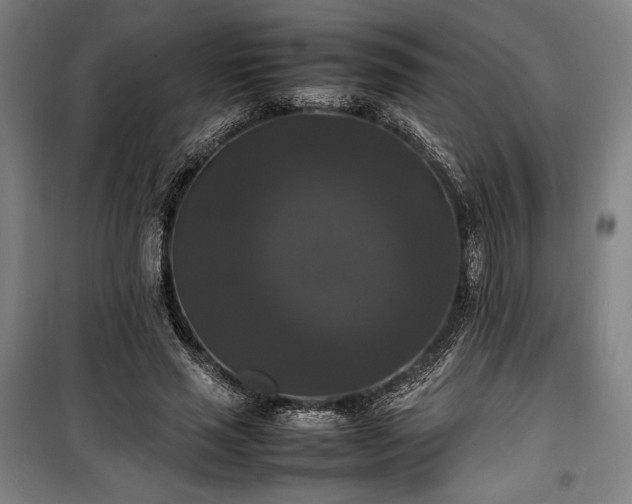 X0000100310637200806121041