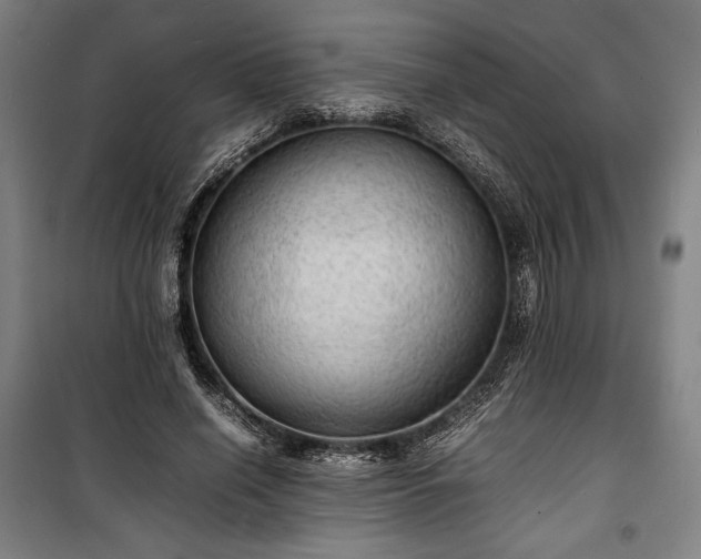 X0000100310638200806121041