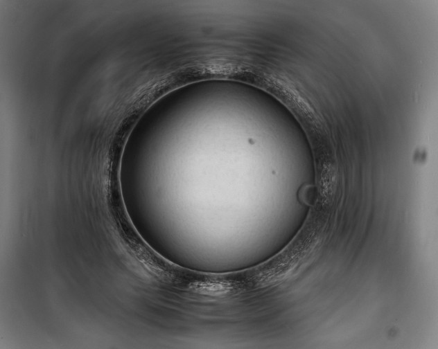 X0000100310639200806121041