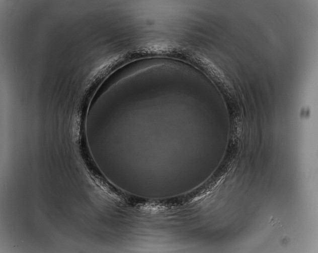 X0000100310640200806121041