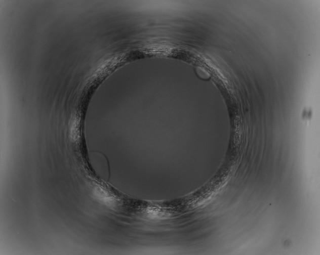 X0000100310641200806121041
