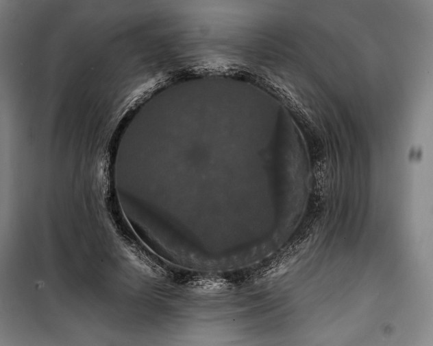 X0000100310642200806121041