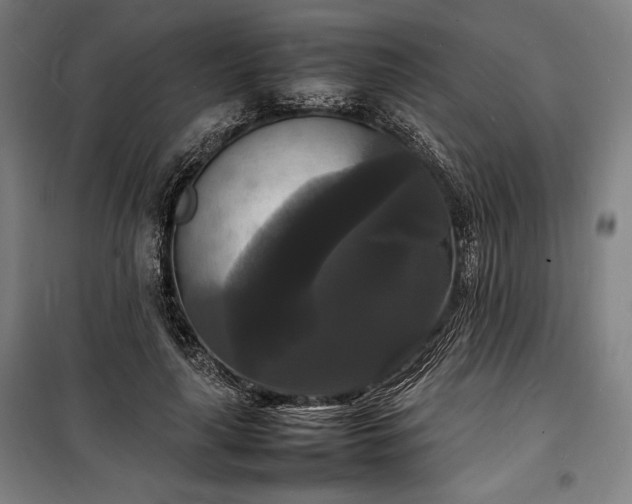 X0000100310643200806121041