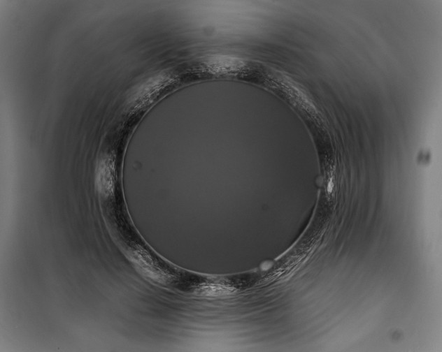 X0000100310644200806121041